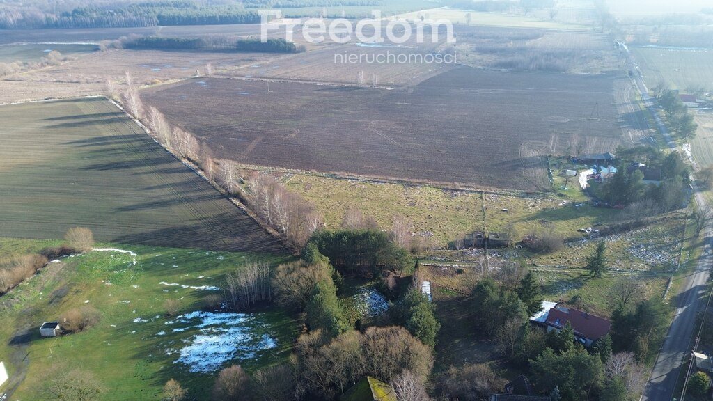 Działka budowlana na sprzedaż Rogalice  1 900m2 Foto 10