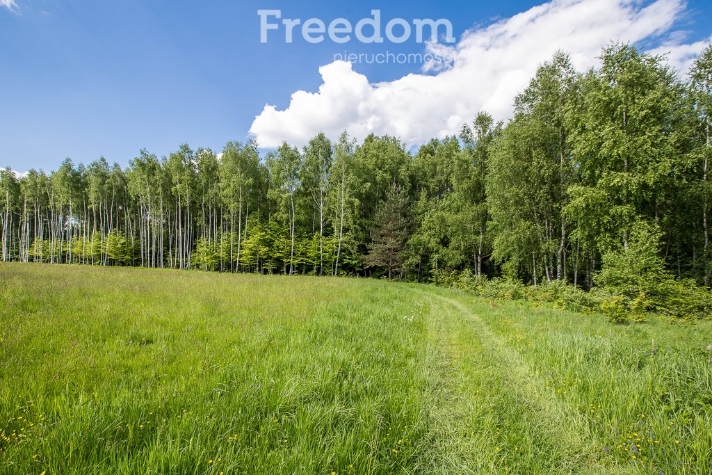 Działka budowlana na sprzedaż Borownica  11 700m2 Foto 12