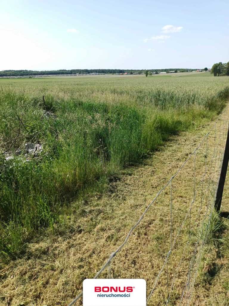 Działka budowlana na sprzedaż Sokolniki  10 001m2 Foto 4