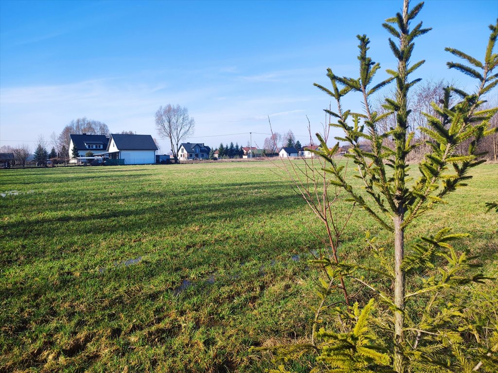 Działka budowlana na sprzedaż Poczernin  1 145m2 Foto 1