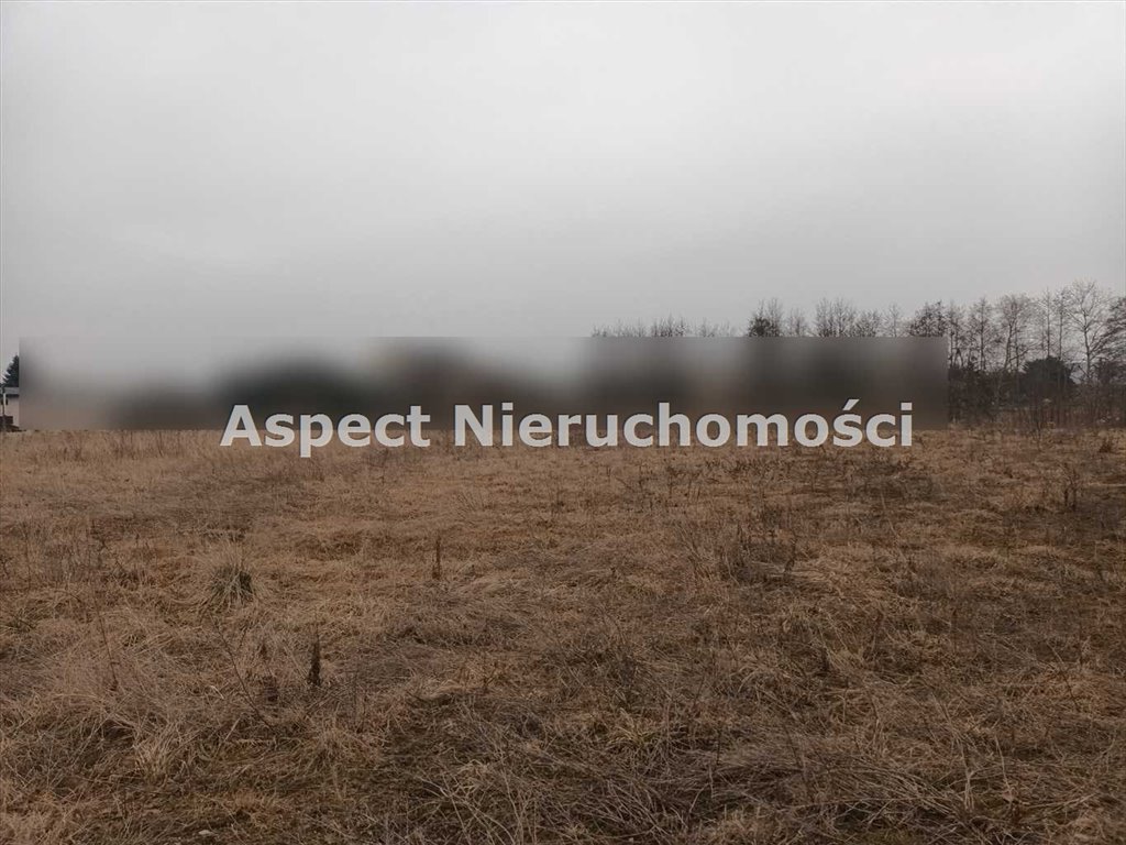 Działka budowlana na sprzedaż Żory, Baranowice  8 627m2 Foto 3