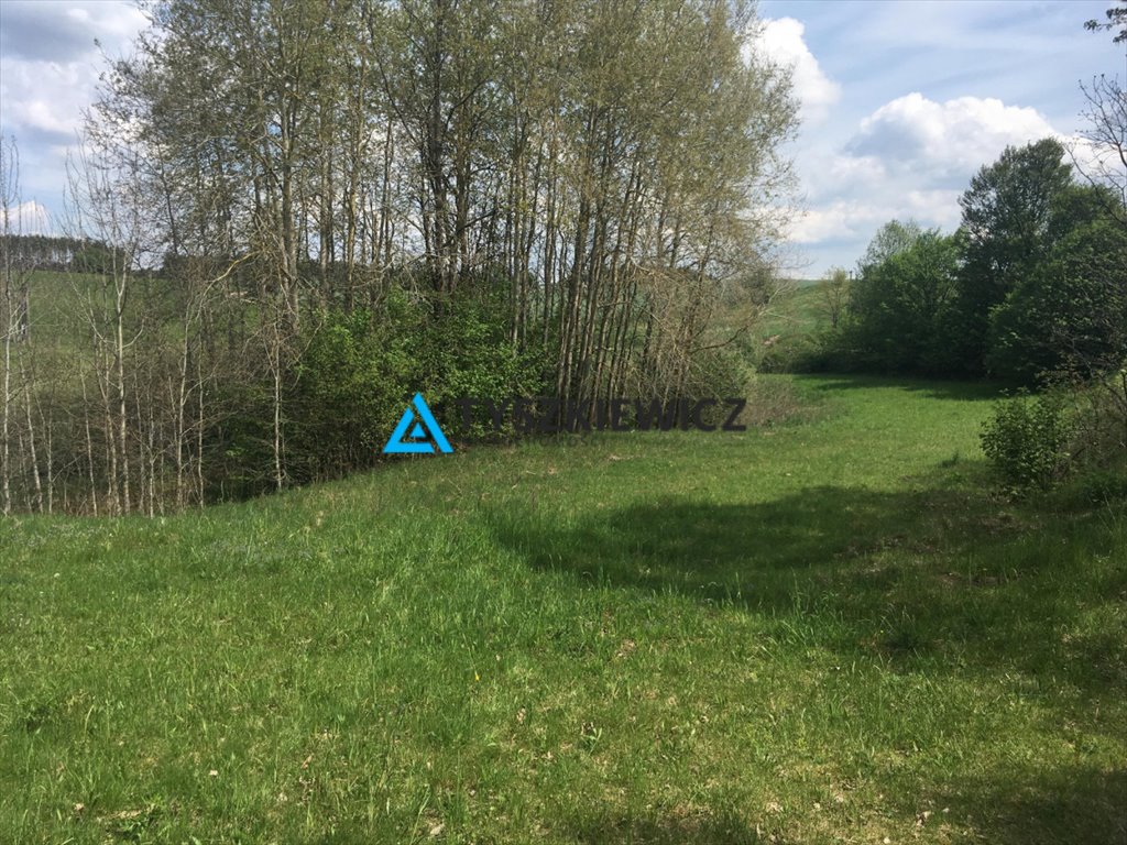 Zróżnicowana działka 4,62ha z pięknymi widokami i stawem Skorzewo  46 200m2 Foto 1