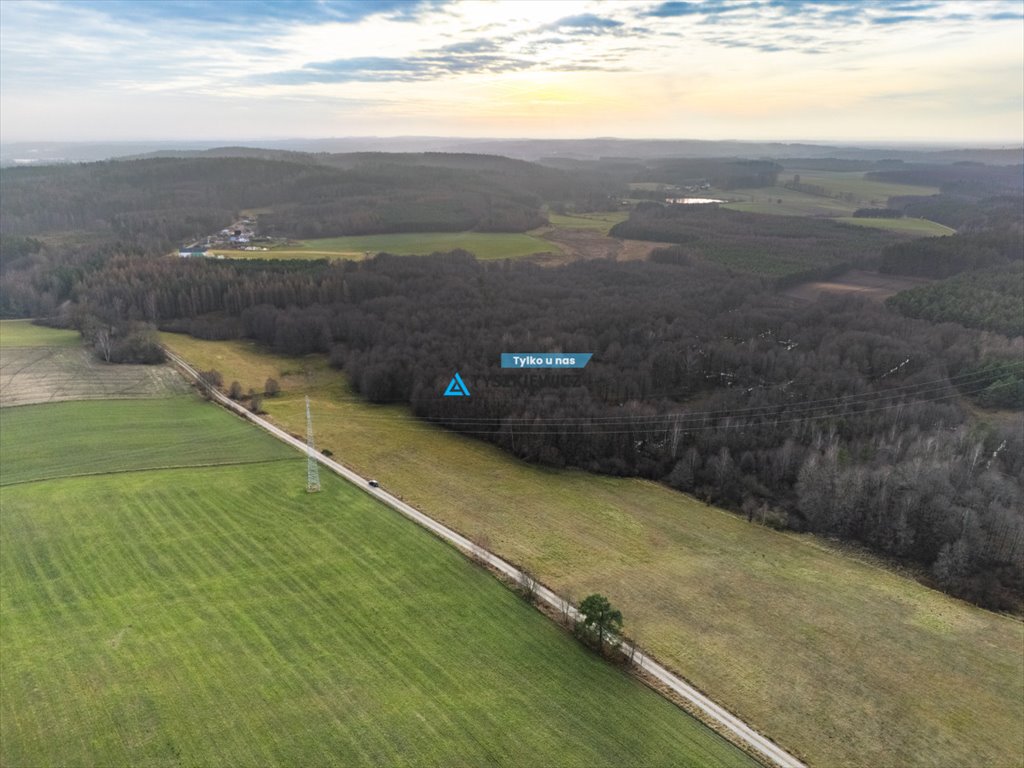 Działka rolna 8,21 ha z lasami i potencjałem, Krosnowo Krosnowo  82 100m2 Foto 1