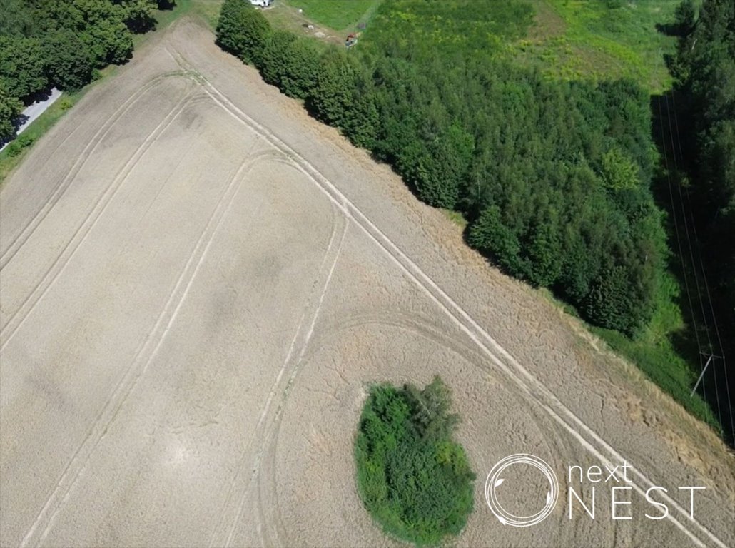 Działka budowlana na sprzedaż Harsz  1 381m2 Foto 6