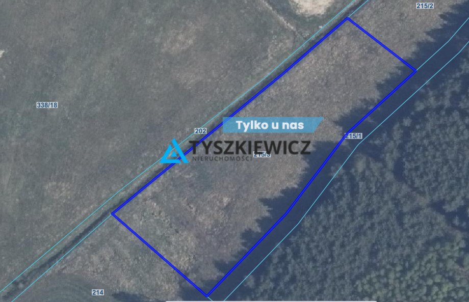 Działka 4623 m² w Osówku – las, spokój, potencjał Osówek  4 623m2 Foto 1