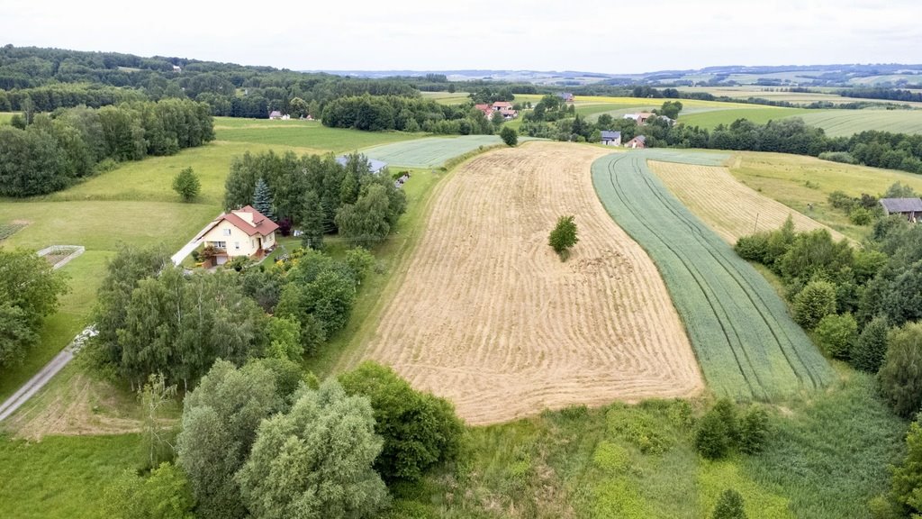 Działka budowlana na sprzedaż Niechobrz  18 300m2 Foto 8