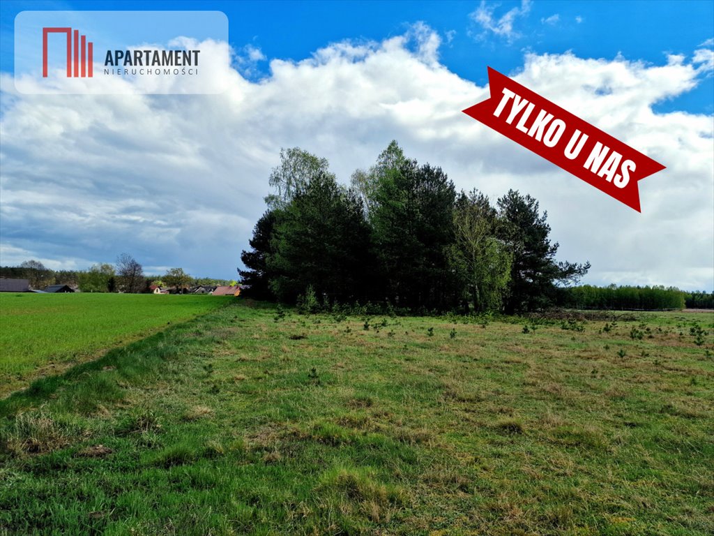 Działka budowlana na sprzedaż Lubocień  6 000m2 Foto 20