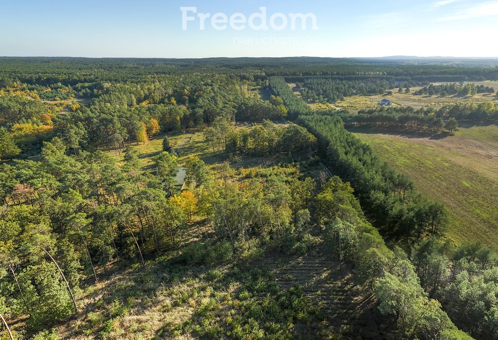 Działka budowlana na sprzedaż Trzaskowo  16 398m2 Foto 10