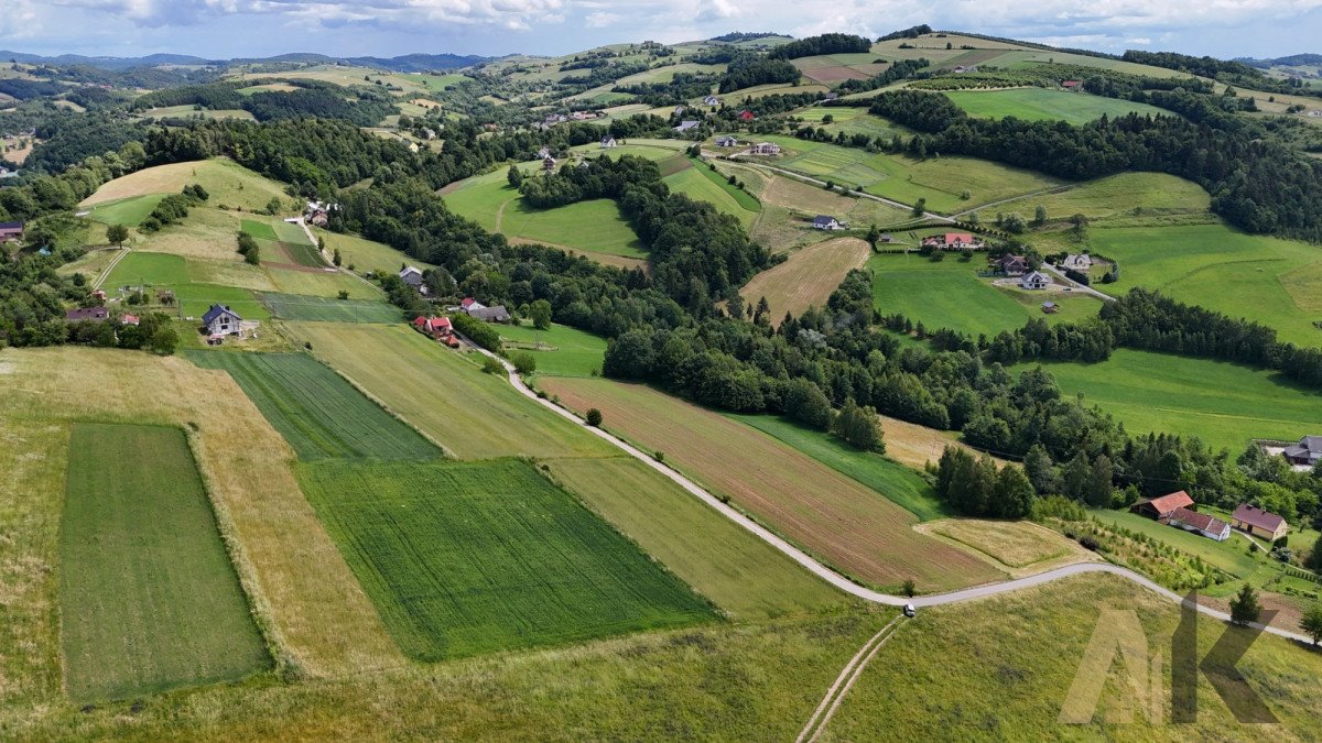 Działka budowlana na sprzedaż Sienna  3 100m2 Foto 9