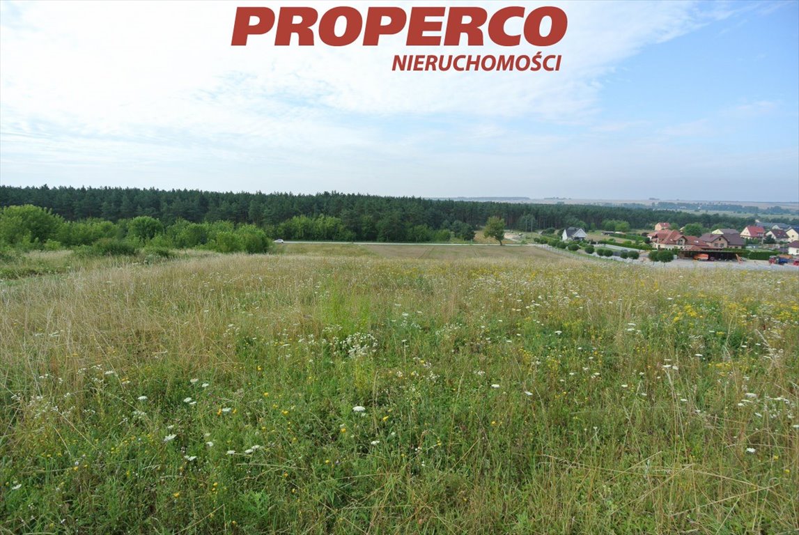 Działka inna na sprzedaż Sobków  4 900m2 Foto 10