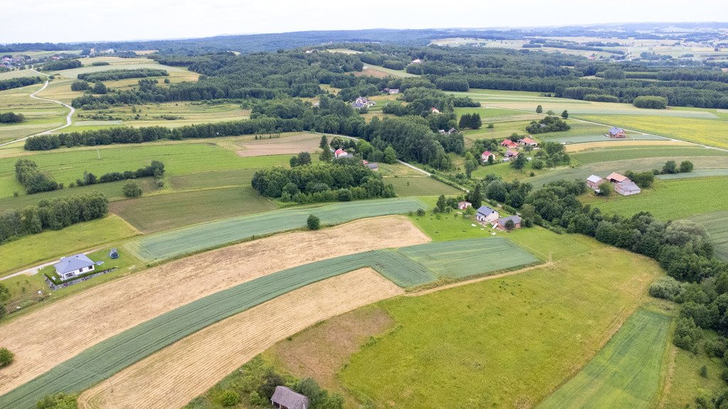 Działka budowlana na sprzedaż Niechobrz  18 300m2 Foto 6