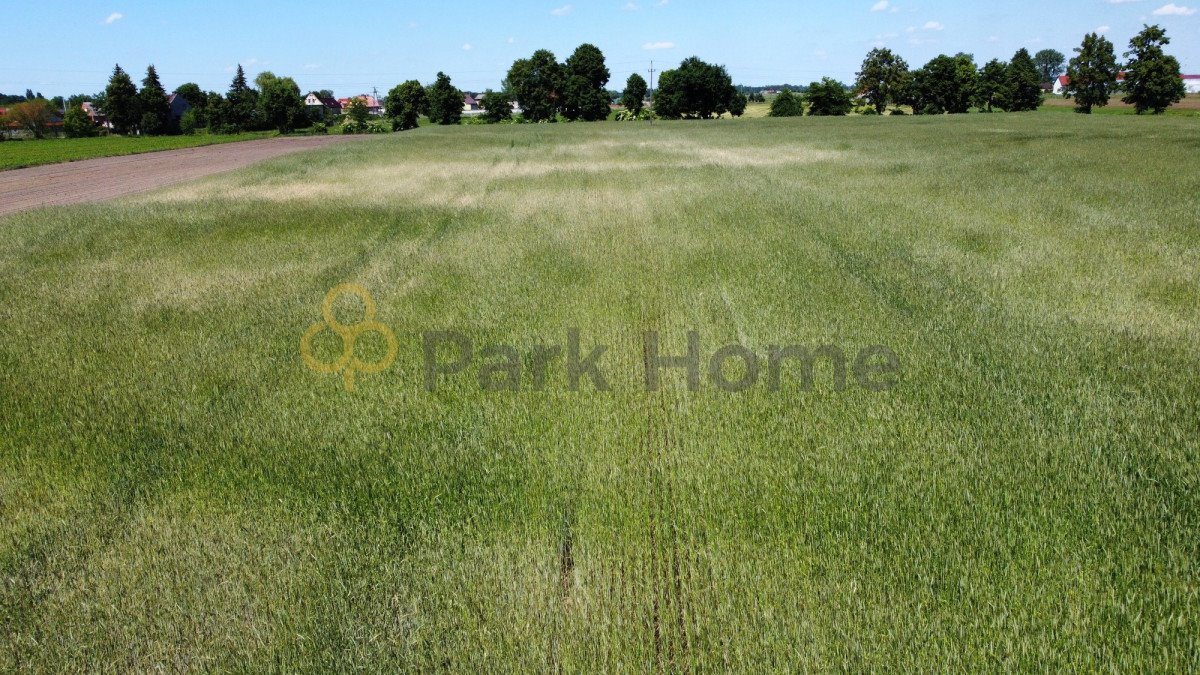 Działka budowlana na sprzedaż Rawicz  5 737m2 Foto 1