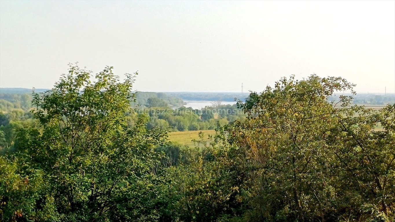 Dom na sprzedaż Strzelce Dolne  800m2 Foto 4