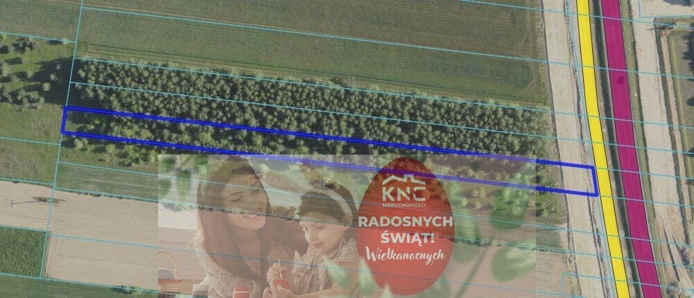 Działka inwestycyjna 40 arów z dostępem do Via Carpatia Skrobów-Kolonia  4 010m2 Foto 1