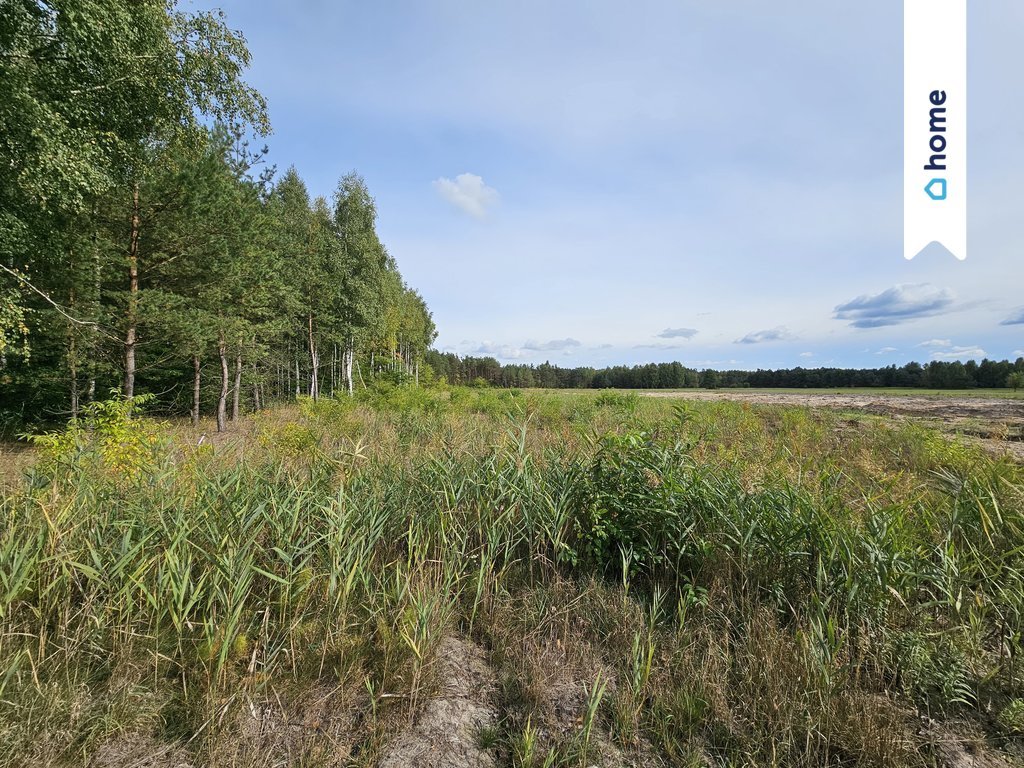 Działka inna na sprzedaż Sobieńki  1 270m2 Foto 15