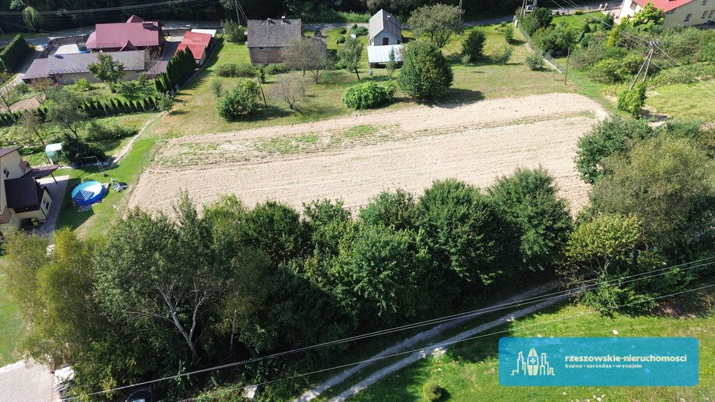 Działka budowlana na sprzedaż Glinik Zaborowski  6 000m2 Foto 5