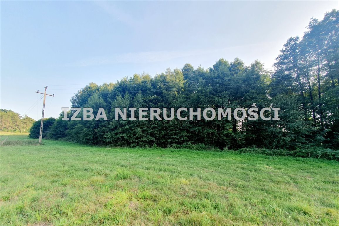 Działka rolna na sprzedaż Grabnik  3 030m2 Foto 15