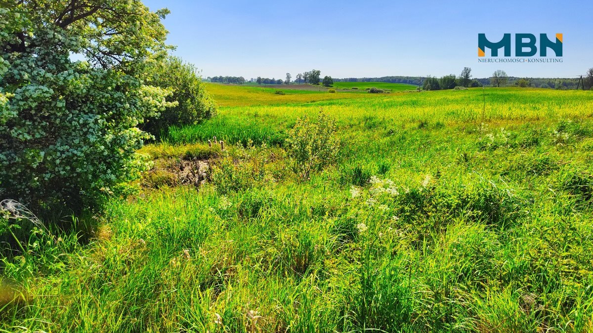 Działka rolna na sprzedaż Węgorzewo, Rudziszki  21 800m2 Foto 6