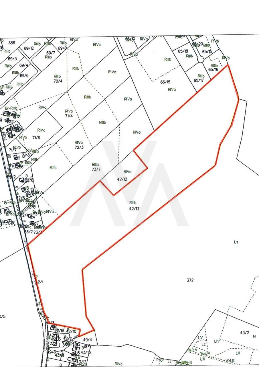 Działka inna na sprzedaż Lisewo, lisewska  120 000m2 Foto 2