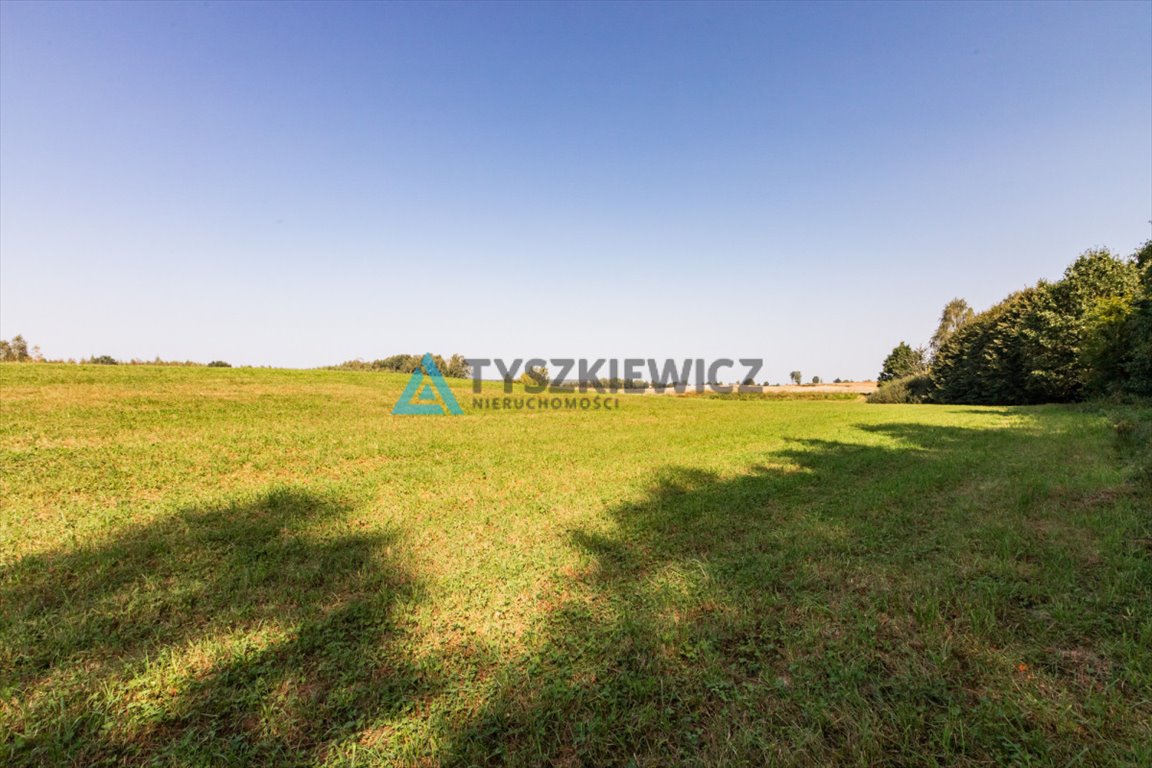 Działka rolna na sprzedaż Ełganowo, Macierzy Szkolnej  6 500m2 Foto 12