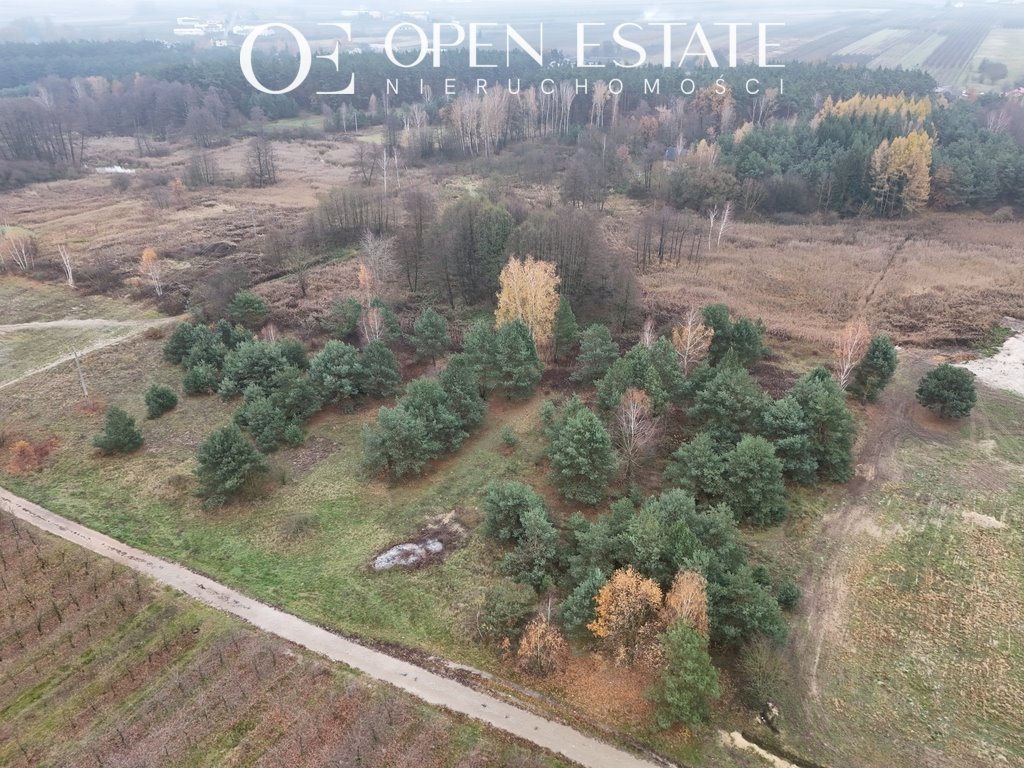 Działka rolna na sprzedaż Aleksandrów  6 150m2 Foto 3