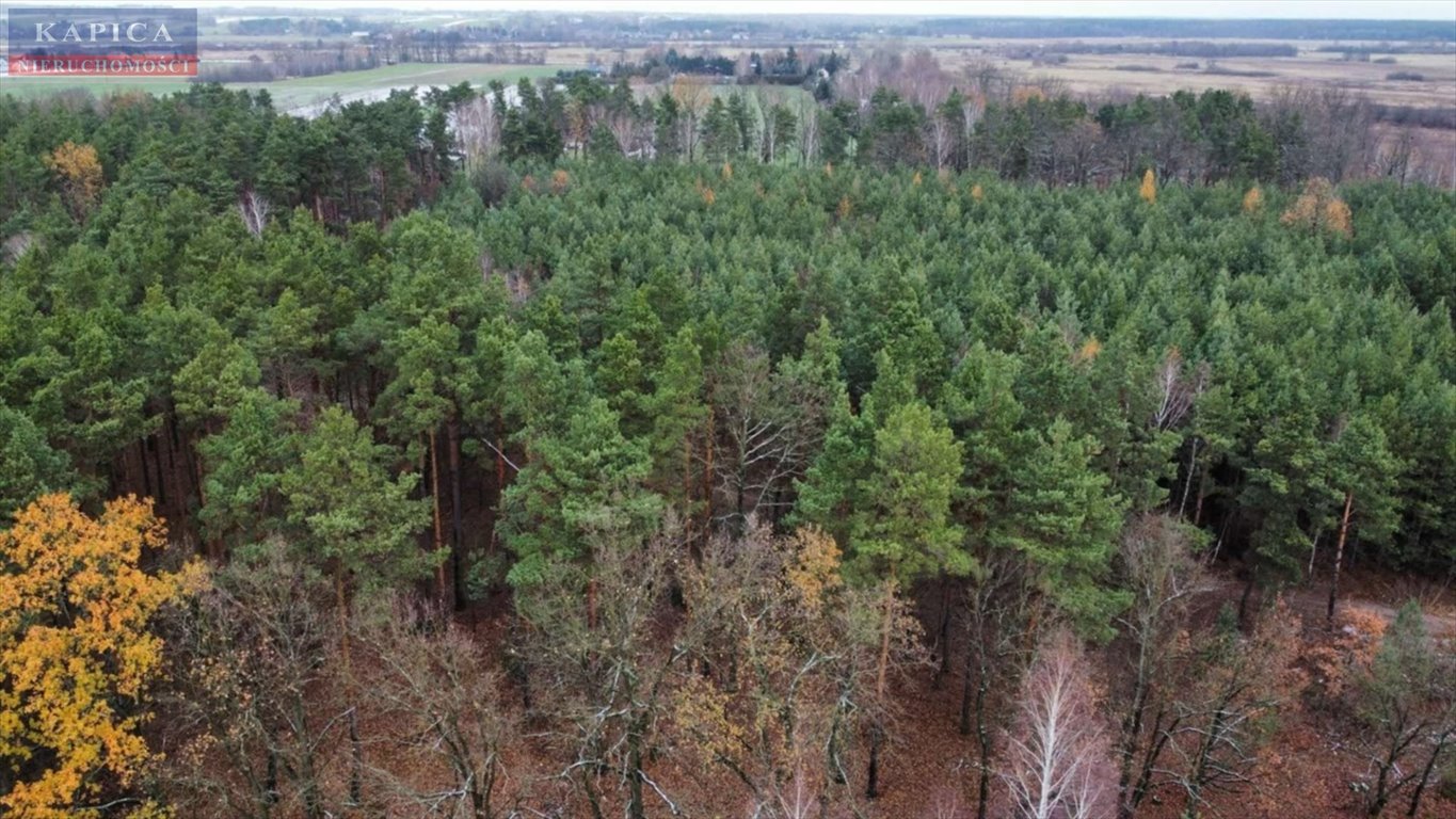 Działka budowlana na sprzedaż Ślężany  1 000m2 Foto 14