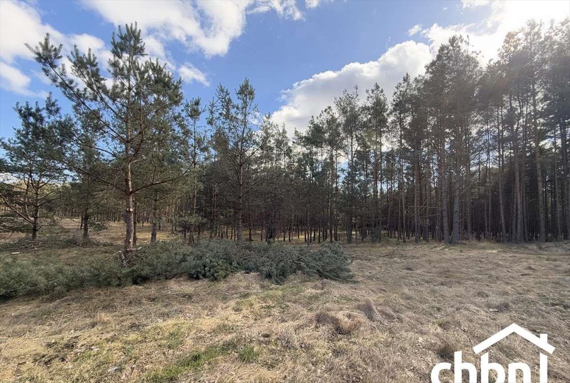 Działka budowlana na sprzedaż Krzyż  1 700m2 Foto 4