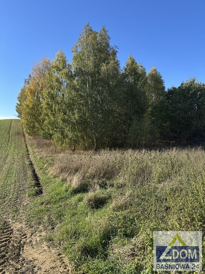 Działka z lasem i widokami, 1818 m2, MPZP, prywatność Płouszowice, Płouszowice Kolonia  1 818m2 Foto 1