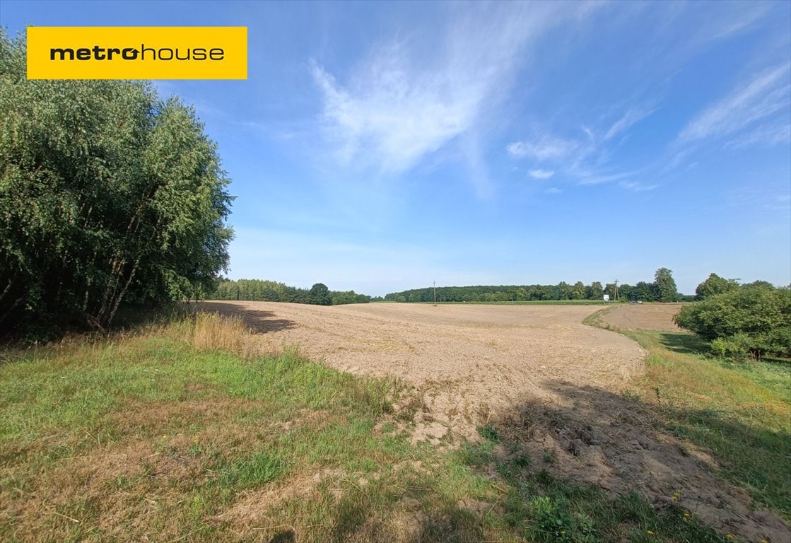 Działka inna na sprzedaż Żagno  22 400m2 Foto 1