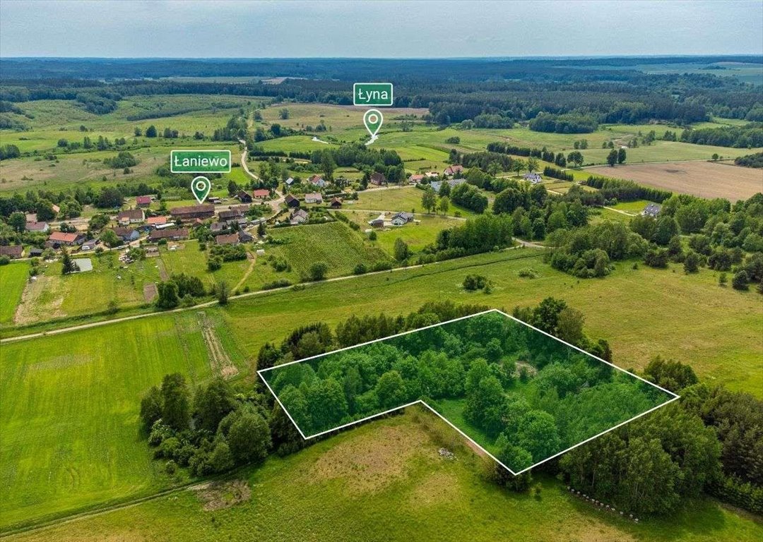 Działka siedliskowa na sprzedaż Łaniewo  9 096m2 Foto 4