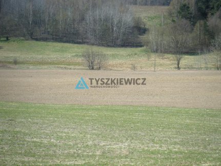 Działka budowlana na sprzedaż Gromadzin  2 907m2 Foto 4