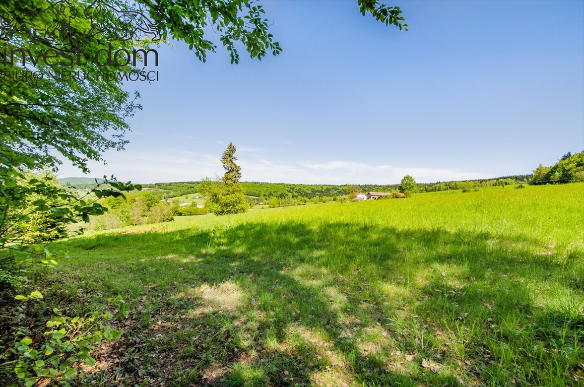 Działka budowlana na sprzedaż Uście Gorlickie  3 300m2 Foto 10