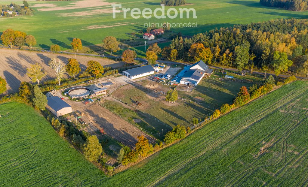 Polecam dużą działkę 15 763 m² z domem i stajnią w Bartkach Bartki  15 763m2 Foto 1