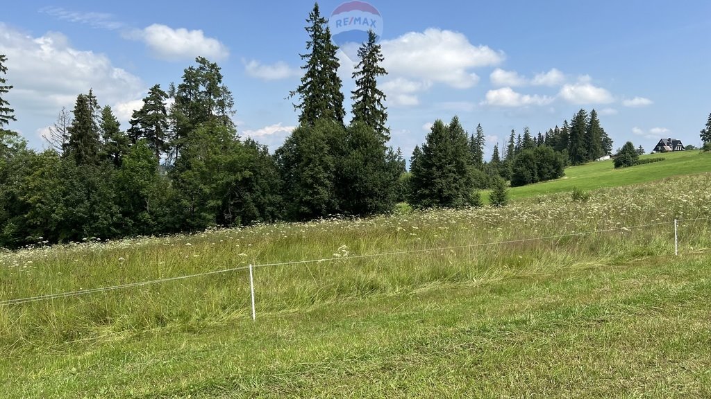 Działka rolna na sprzedaż Biały Dunajec  8 416m2 Foto 13