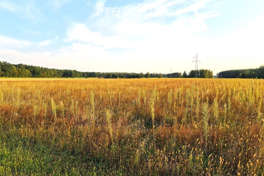 Działka siedliskowa na sprzedaż Zuzułka  3 001m2 Foto 1