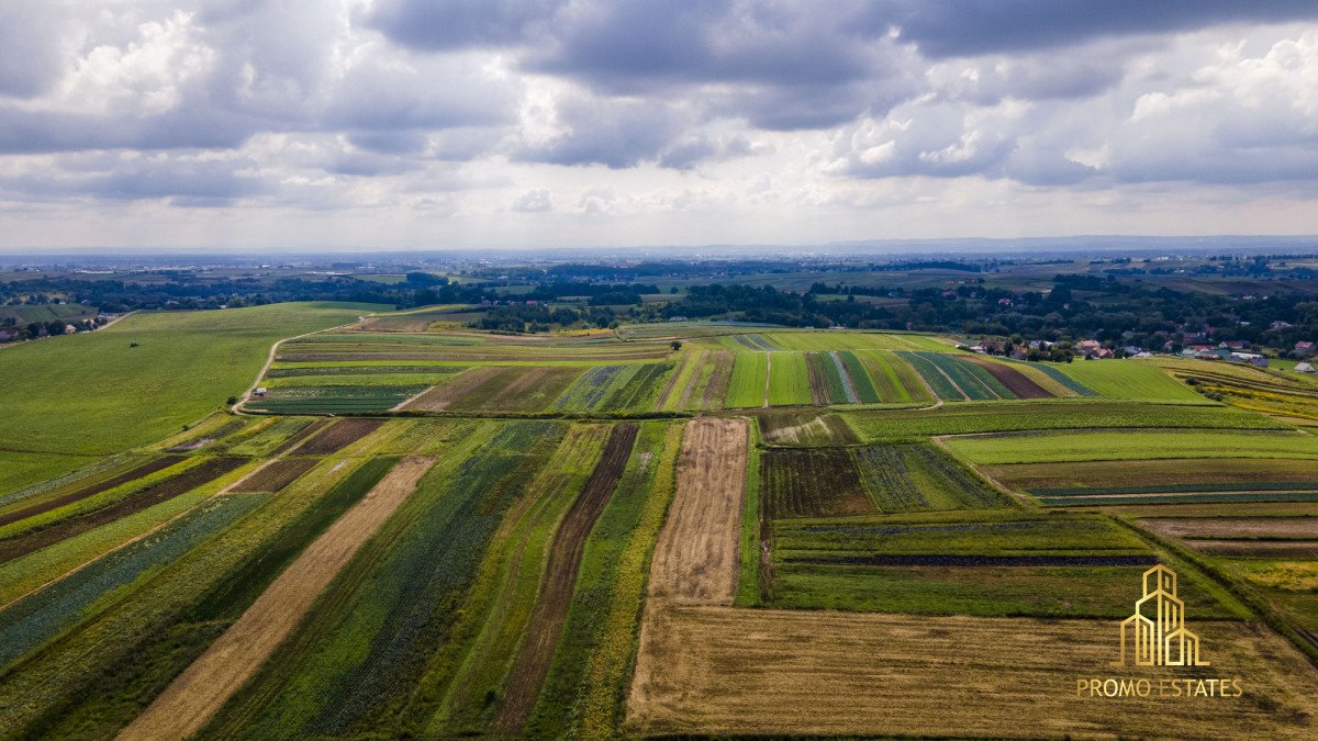 Działka gospodarstwo rolne na sprzedaż Czulice  6 900m2 Foto 6