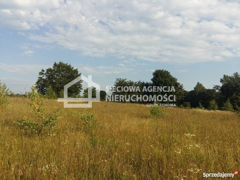 Działka budowlana na sprzedaż Nowa Wieś  1 500m2 Foto 3