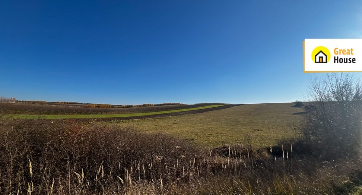 Działka rolna na sprzedaż Chańcza  33 263m2 Foto 6