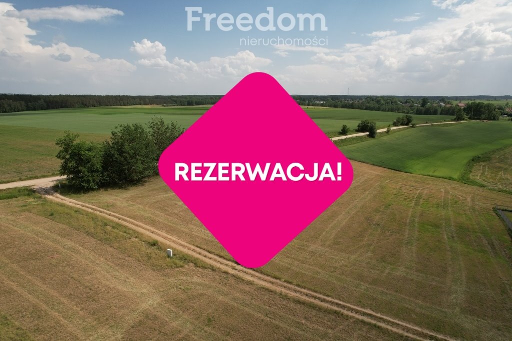 Działka budowlana na sprzedaż Grabnik  3 000m2 Foto 4