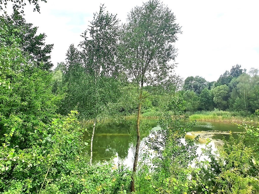 Duża działka 10,09 ha z stawami i potencjałem rozwoju Mońki  100 900m2 Foto 1