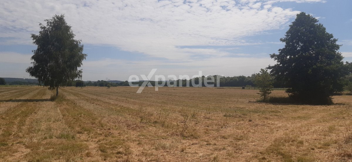 Działka budowlana na sprzedaż Przeczyce  800m2 Foto 2