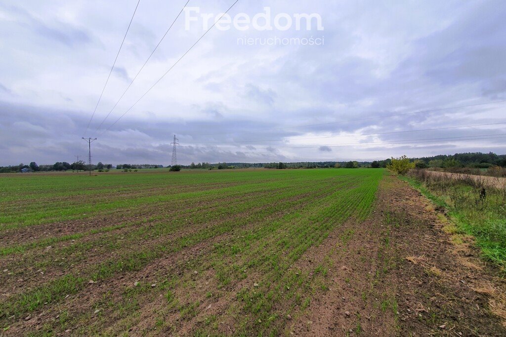 Działka przemysłowo-handlowa na sprzedaż Gręzów, Żwirowa  13 000m2 Foto 4