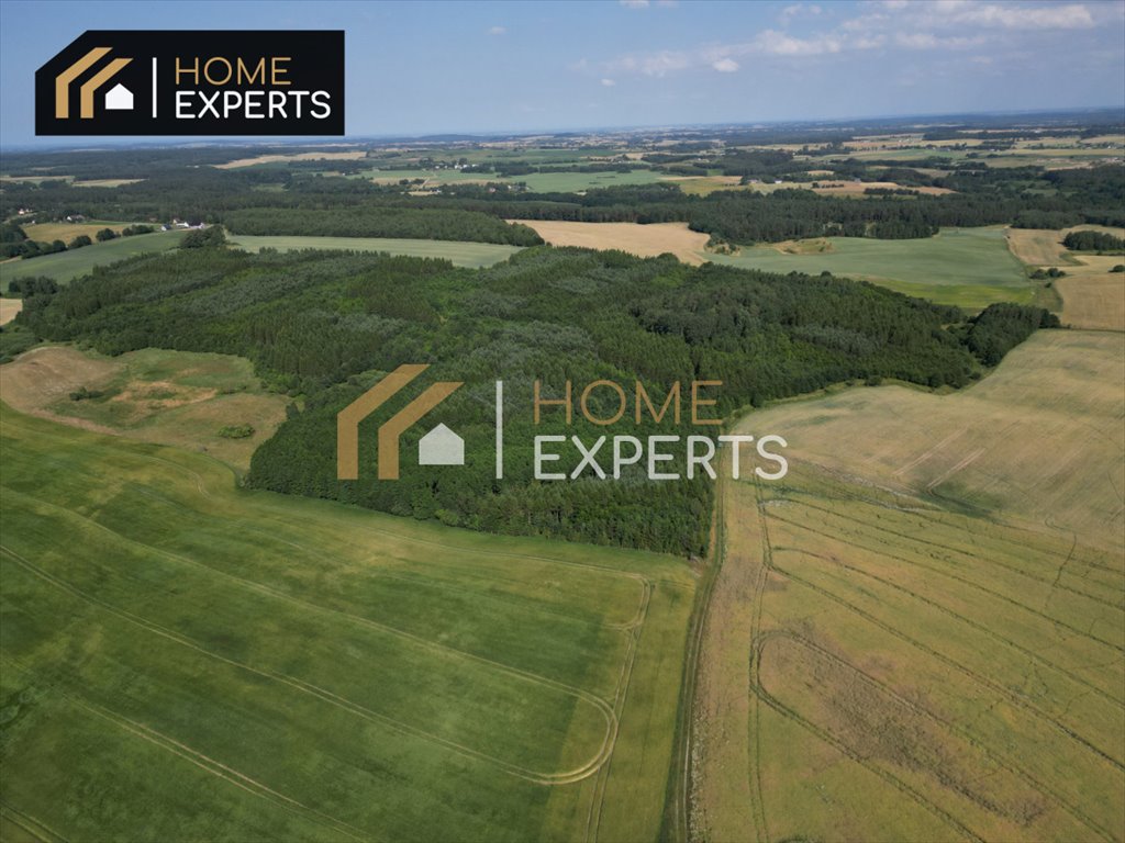 Urokliwa działka 9 977 m² z możliwością zabudowy i rekultywacji stawu Szczodrowo  9 977m2 Foto 1