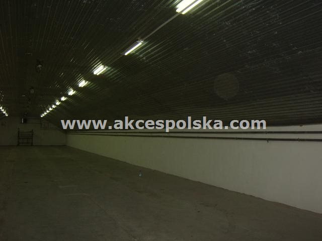 Lokal użytkowy na wynajem Łomianki, Łomianki Górne, Warszawska  500m2 Foto 2