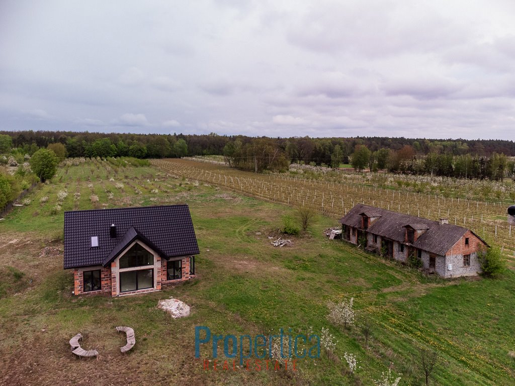 Działka budowlana na sprzedaż Kocerany, Nowy Trakt  47 200m2 Foto 5