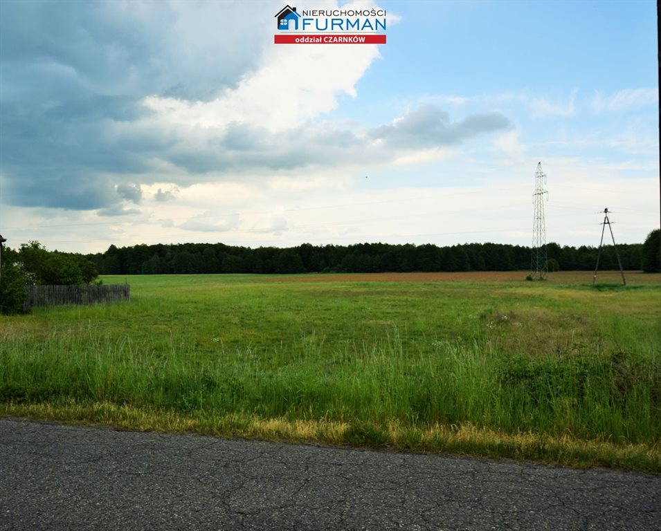 Działka inna na sprzedaż Radolinek  3 000m2 Foto 6