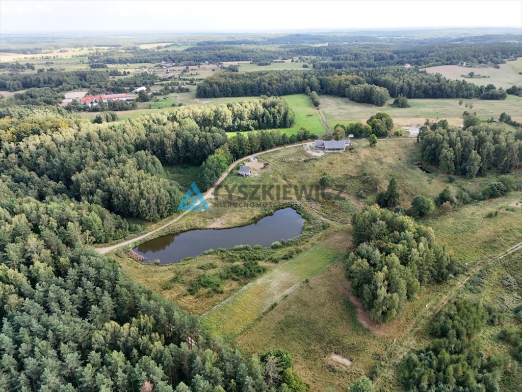 Działka siedliskowa na sprzedaż Mierzeszyn  12 301m2 Foto 9