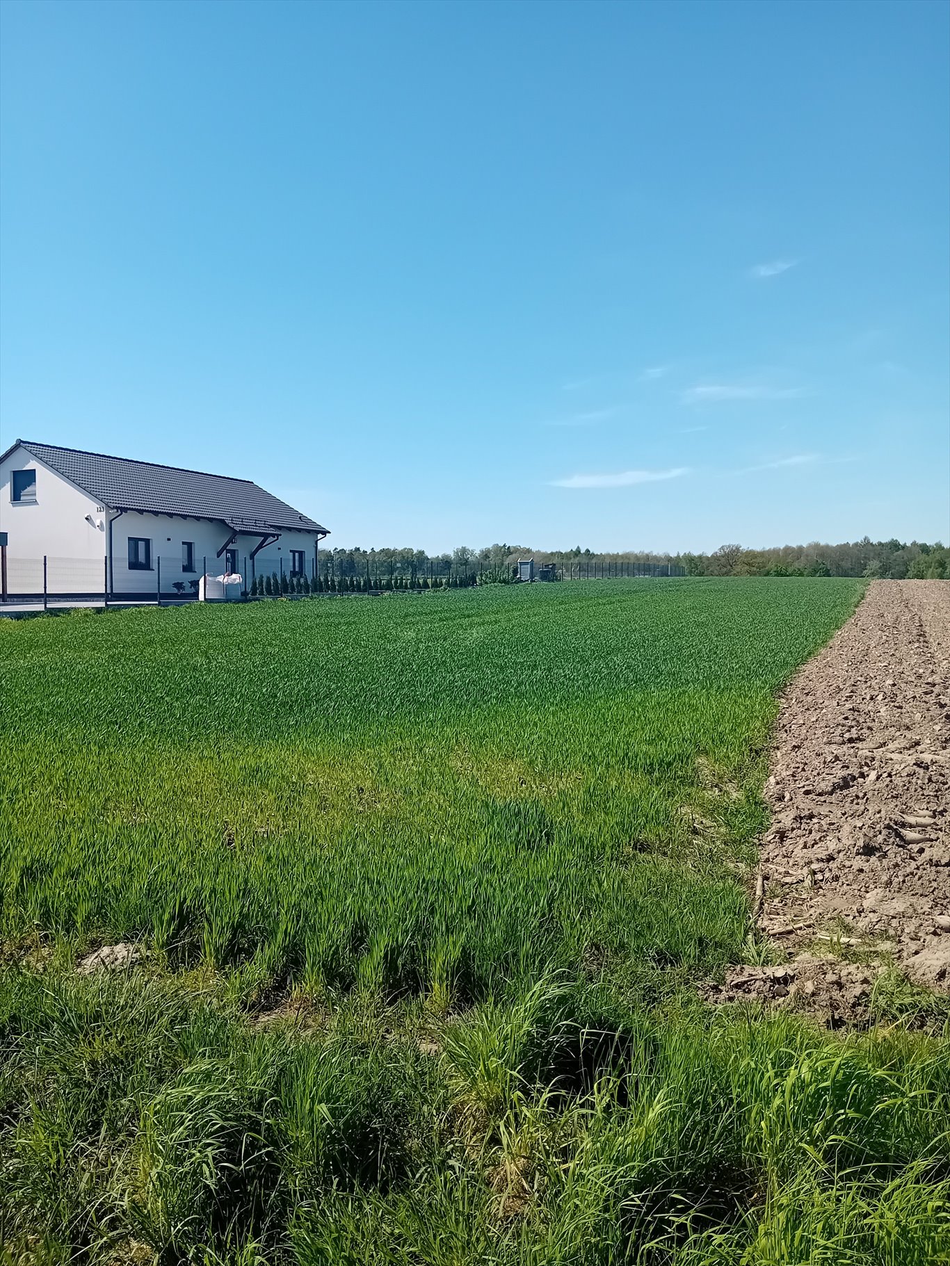 Działka budowlana na sprzedaż Łany Wielkie, Łabędzka  4 180m2 Foto 1