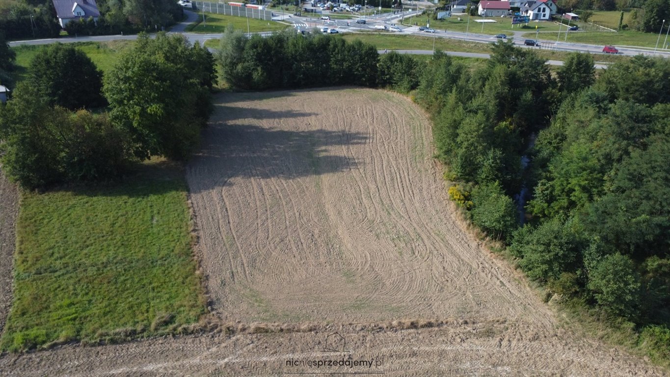 Działka inna na sprzedaż Rzezawa, Łazy, Łazy  5 700m2 Foto 3