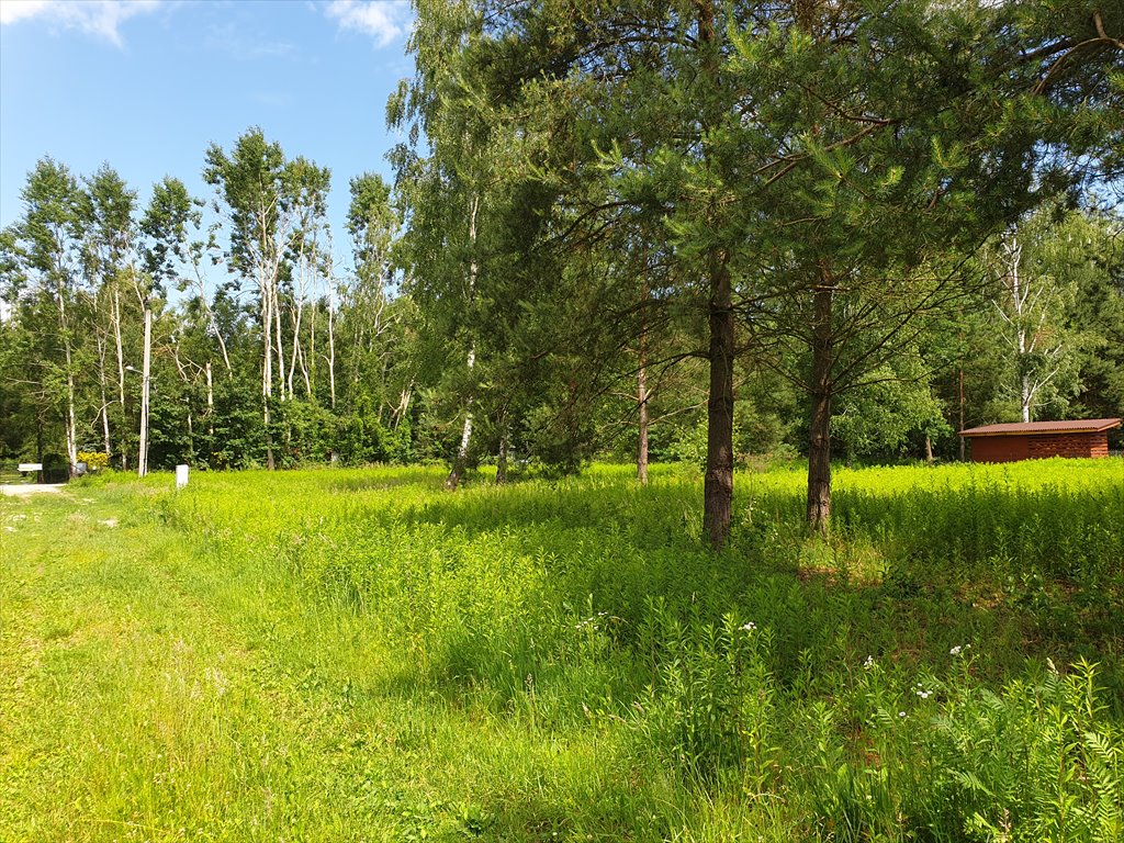 Działka budowlana na sprzedaż Nowy Prażmów  2 097m2 Foto 5